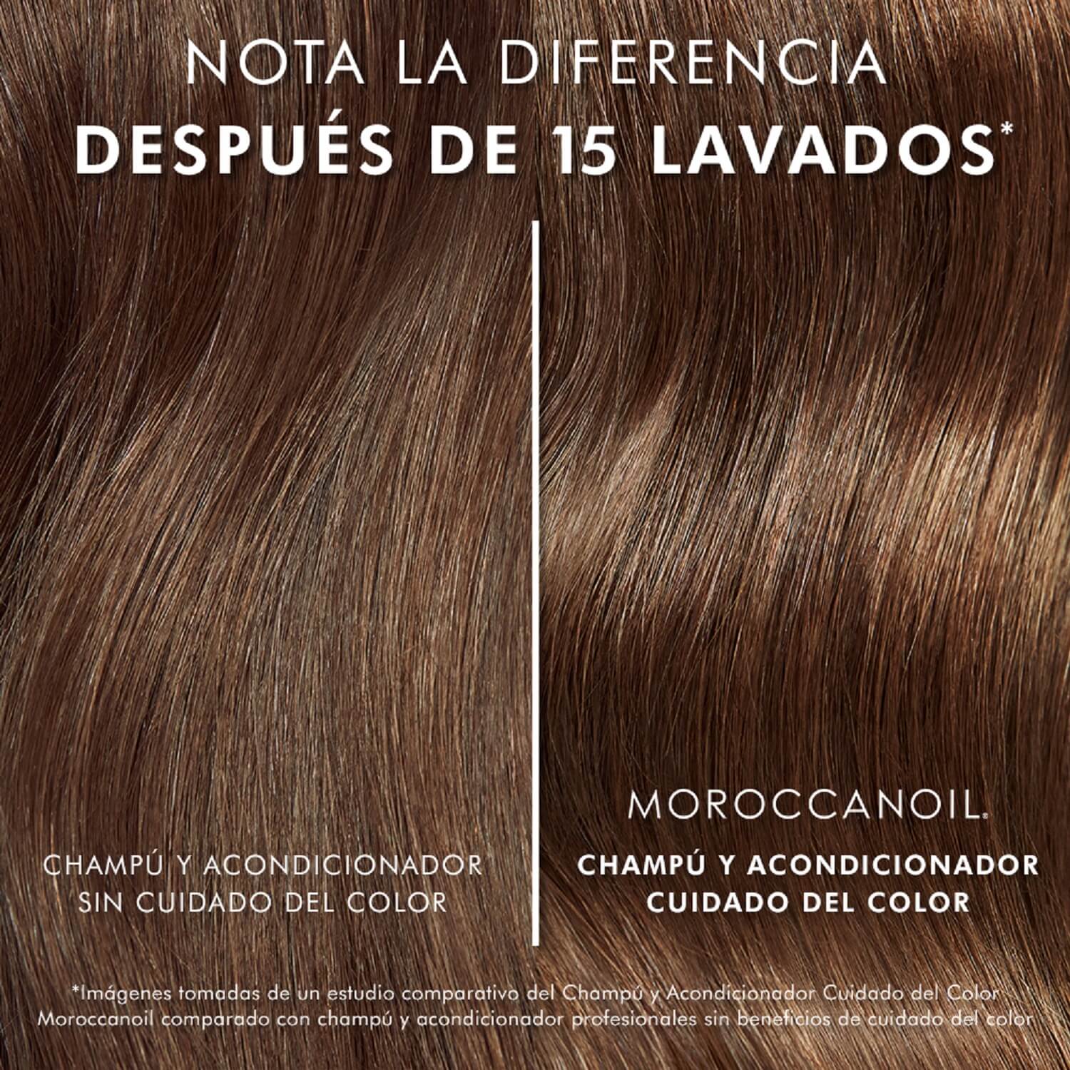 COLOR CARE CONDITIONER (ACONDICIONADOR HIDRATANTE PARA CABELLO TE&Ntilde;IDO)